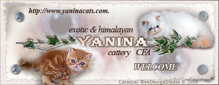 Yanina cattery